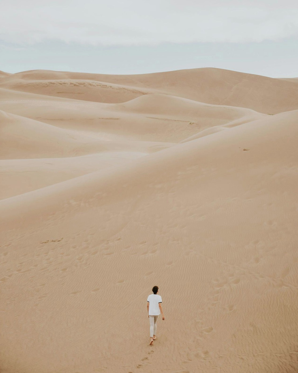 Contacts Roads pass uae